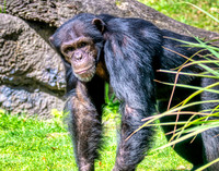 Photo taken at Busch Gardens - Tampa FL