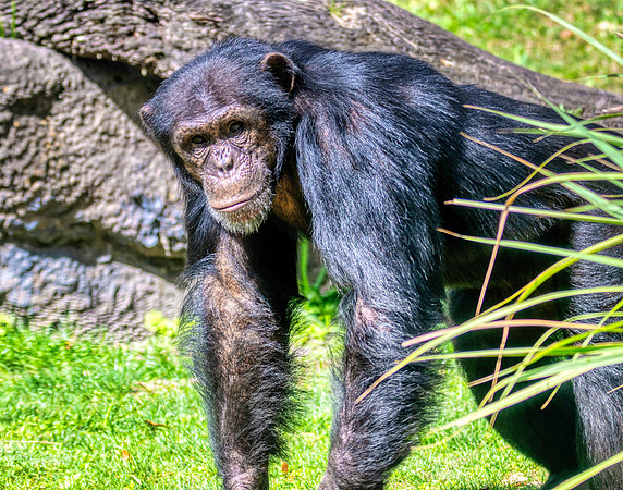 Photo taken at Busch Gardens - Tampa FL