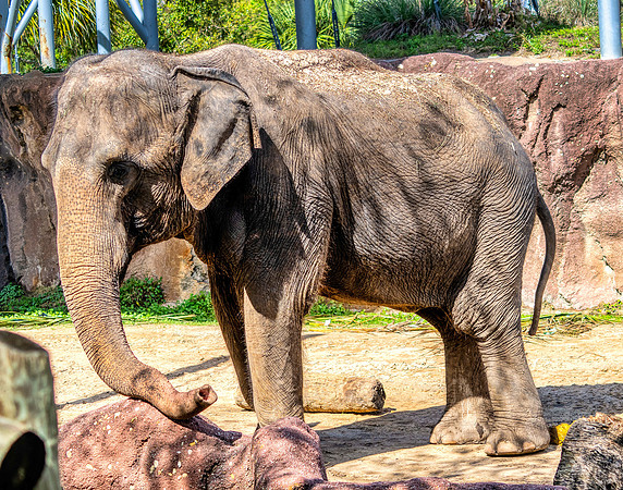 Photo taken at Busch Gardens - Tampa FL