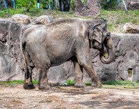 Photo taken at Busch Gardens - Tampa FL