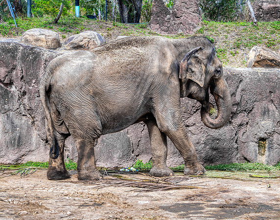 Photo taken at Busch Gardens - Tampa FL