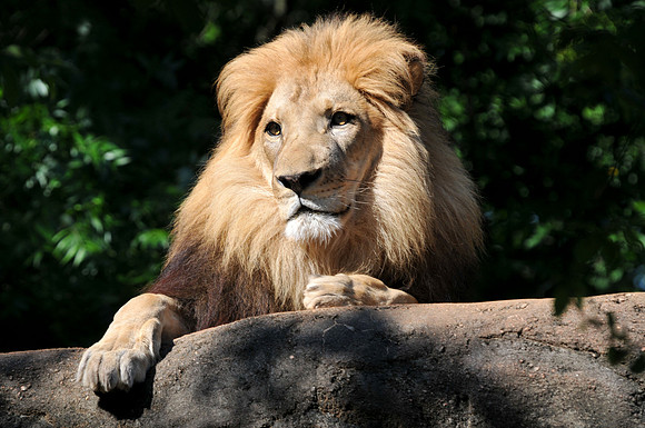 Photo taken at the Atlanta Zoo