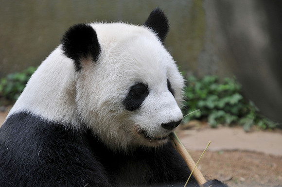 Photo taken at the Atlanta Zoo