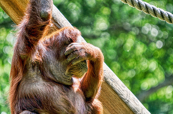 Photo taken at the Atlanta Zoo