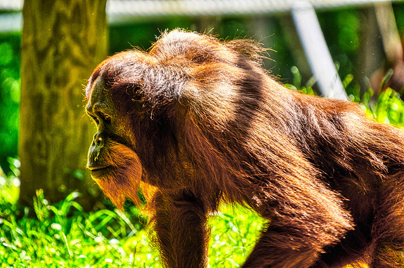 Photo taken at the Atlanta Zoo